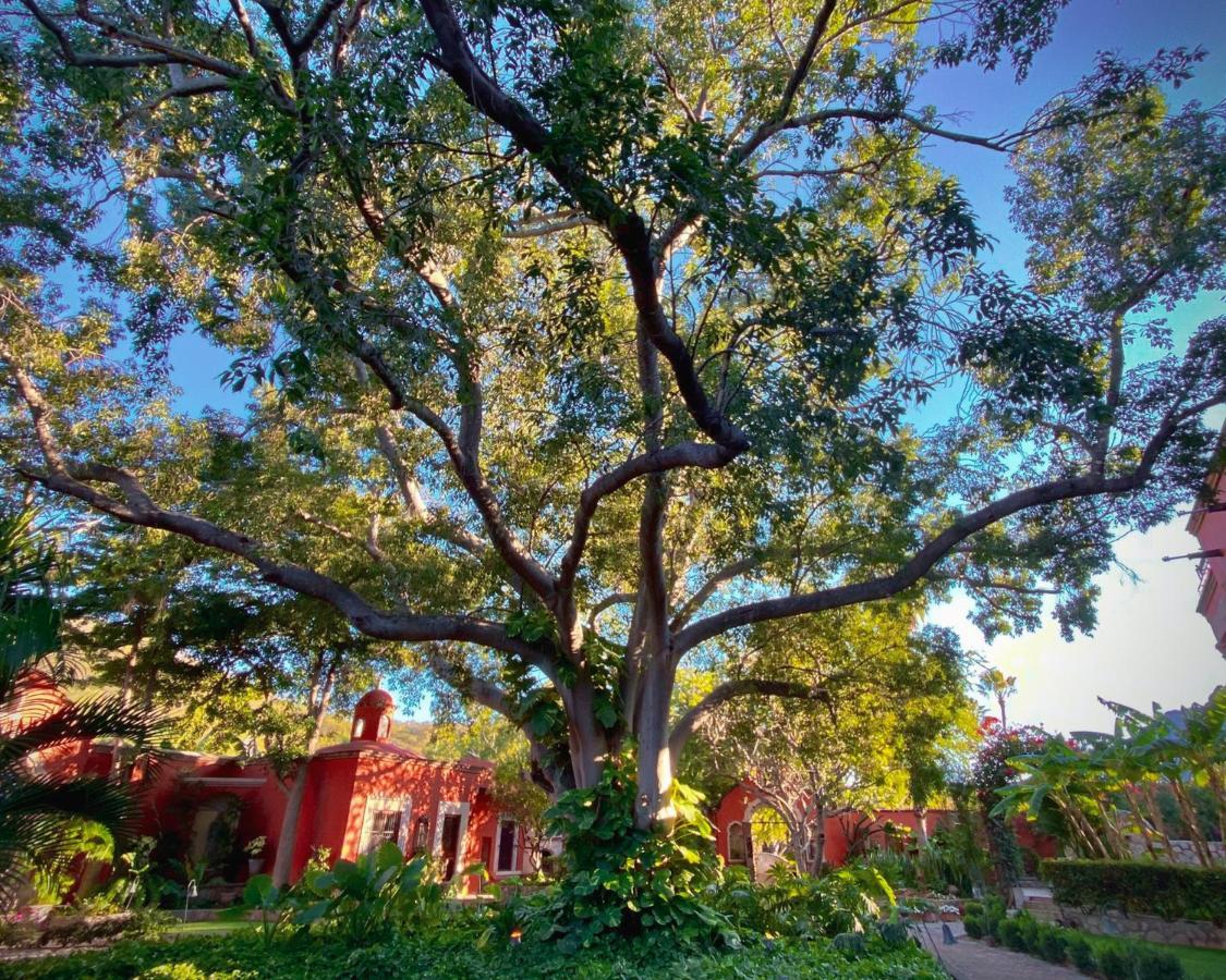 Hacienda De Los Santos Alamos Ngoại thất bức ảnh