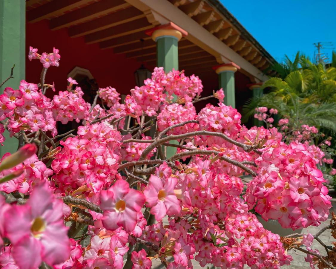 Hacienda De Los Santos Alamos Ngoại thất bức ảnh